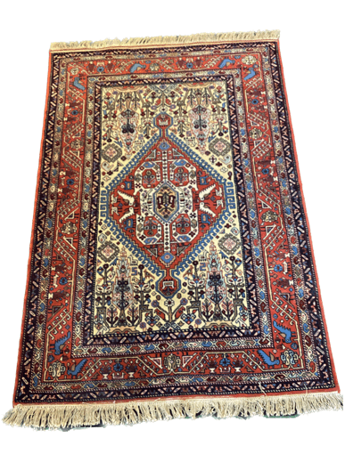 A rug with an oriental design on it.